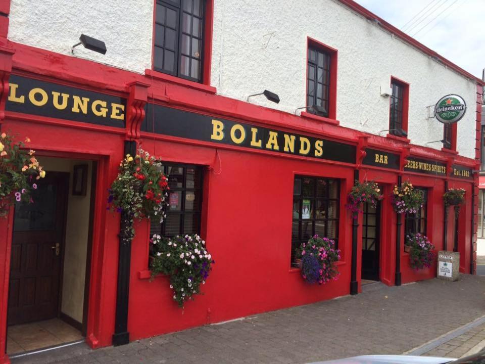 Bolands Self Catering Accommodation Hacketstown Екстериор снимка